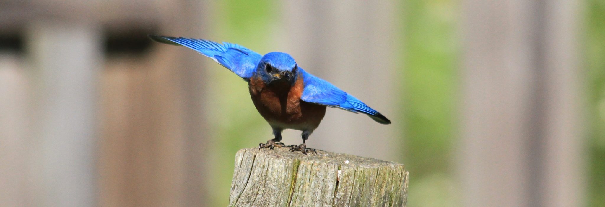 What is salary sacrifice and would it benefit my business?