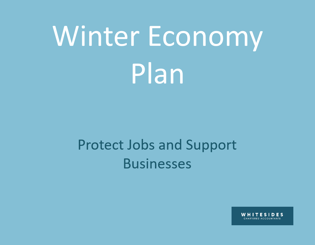 COVID - Winter Economy Plan